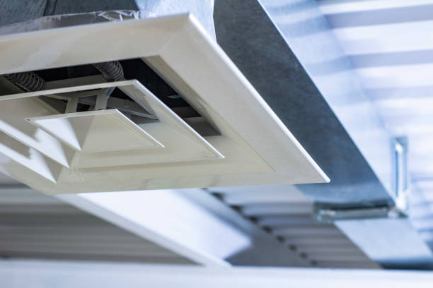 Best Professional Duct Cleaning Services  in Union City, CA