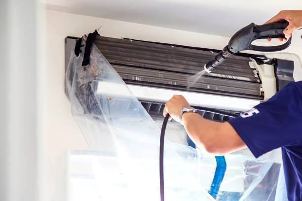 Best Air Duct Mold Removal  in Union City, CA