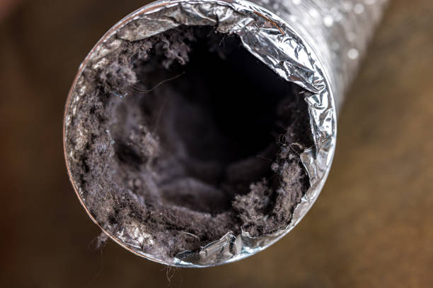 Best Air Duct Inspection  in Union City, CA